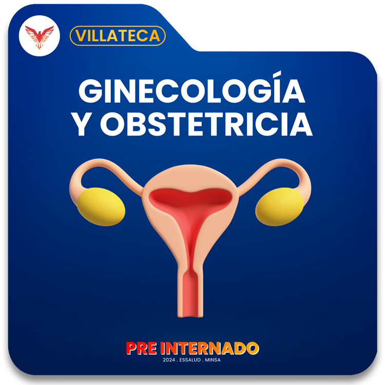 Course Image Pre Internado 2024 | Villateca 1: Ginecología y Obstetricia