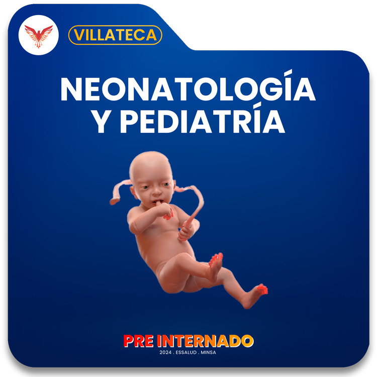 Course Image Pre Internado 2024 | Villateca 1: Neonatología y Pediatría