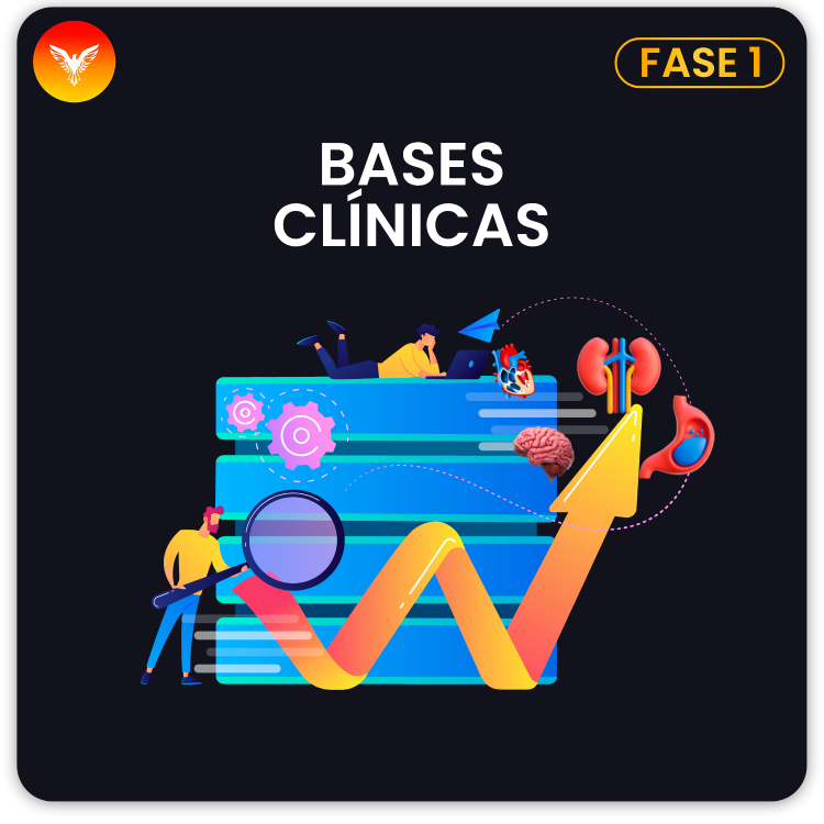 Course Image Residentado Médico 2024 Fase 1: Bases clínicas