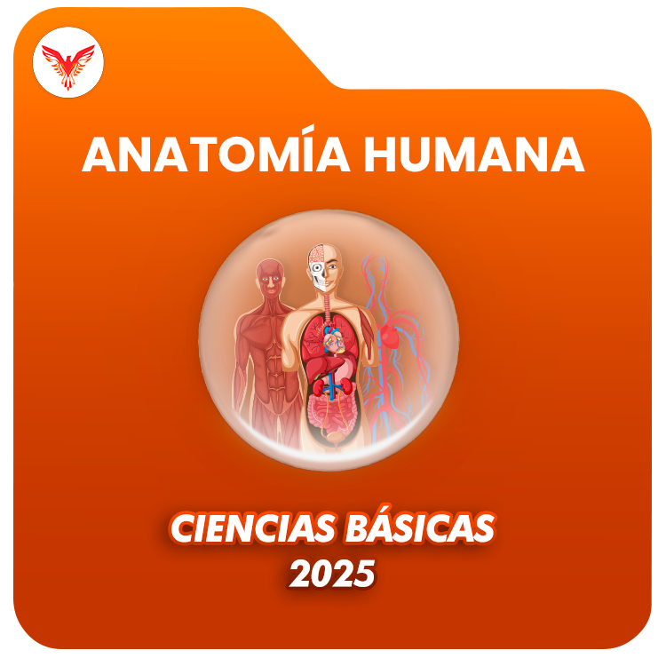 Course Image Ciencias Básicas 2025: Anatomía Humana