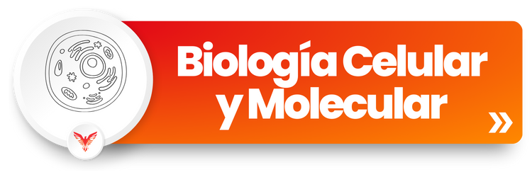 Course Image CB24 - Biología Celular y Molecular