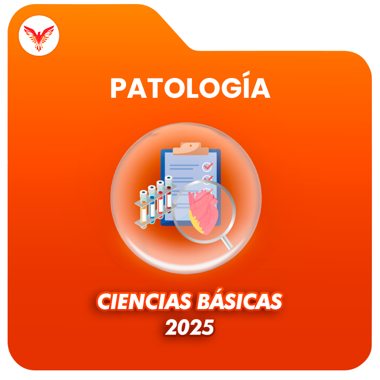 Course Image Ciencias Básicas 2025: Patología
